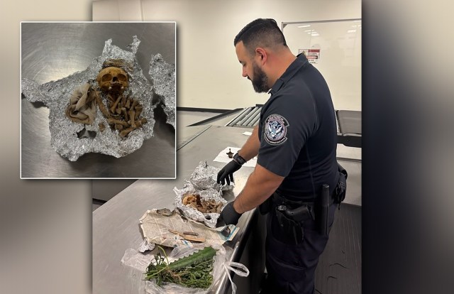 Human skull and bones found in carry-on at Tampa airport